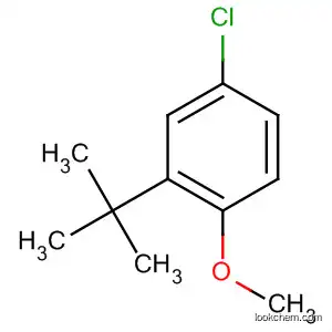 Molecular Structure of 14804-33-2 (Benzene, 4-chloro-2-(1,1-dimethylethyl)-1-methoxy-)