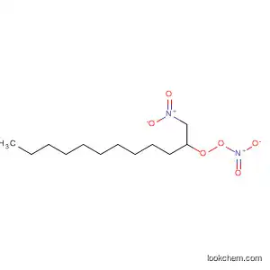 Molecular Structure of 16096-57-4 (Peroxynitric acid, 1-(nitromethyl)undecyl ester)