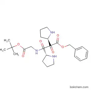 Molecular Structure of 58810-18-7 (Glycine, N-[1-[1-[(phenylmethoxy)carbonyl]-L-prolyl]-L-prolyl]-,
1,1-dimethylethyl ester)