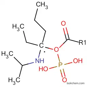 Molecular Structure of 59552-32-8 (Phosphonic acid, [1-[(1-methylethyl)amino]ethyl]-, diethyl ester)
