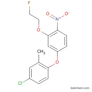Molecular Structure of 60775-34-0 (Benzene, 4-chloro-1-[3-(2-fluoroethoxy)-4-nitrophenoxy]-2-methyl-)