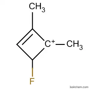 Molecular Structure of 61189-68-2 (Cyclobutenylium, 4-fluoro-1,2-dimethyl-)