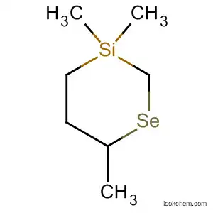 Molecular Structure of 61676-30-0 (1-Selena-3-silacyclohexane, 3,3,6-trimethyl-)