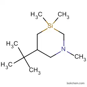 Molecular Structure of 61676-37-7 (1-Aza-3-silacyclohexane, 5-(1,1-dimethylethyl)-1,3,3-trimethyl-)
