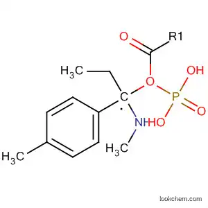 Molecular Structure of 61921-04-8 (Phosphonic acid, [(methylamino)(4-methylphenyl)methyl]-, monoethyl
ester)