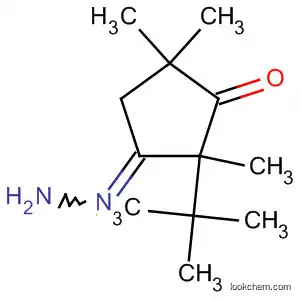 Molecular Structure of 62204-22-2 (Cyclopentanone, 2,4,4-trimethyl-, (1,1-dimethylethyl)hydrazone)