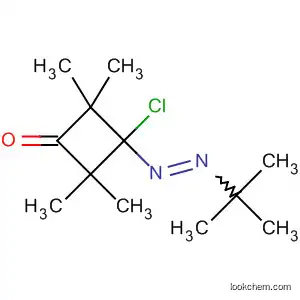Molecular Structure of 62204-23-3 (Cyclobutanone, 3-chloro-3-[(1,1-dimethylethyl)azo]-2,2,4,4-tetramethyl-)
