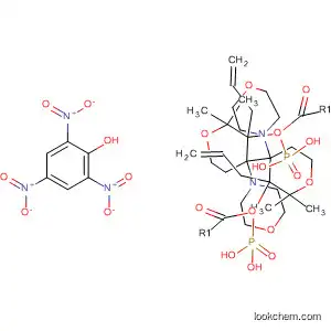 Molecular Structure of 62269-70-9 (Phosphonic acid,
[tetrahydro-2,2-dimethyl-4-(4-morpholinyl)-2H-pyran-4-yl]-, di-2-propenyl
ester, compd. with 2,4,6-trinitrophenol (1:1))