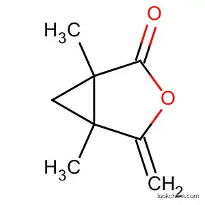 Molecular Structure of 62499-83-6 (3-Oxabicyclo[3.1.0]hexan-2-one, 1,5-dimethyl-4-methylene-)