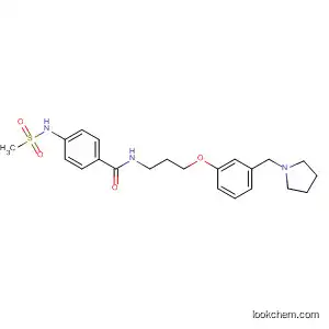 Molecular Structure of 78200-77-8 (Benzamide,
4-[(methylsulfonyl)amino]-N-[3-[3-(1-pyrrolidinylmethyl)phenoxy]propyl]-)