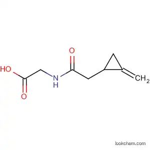 Molecular Structure of 38561-70-5 (Glycine, N-[(methylenecyclopropyl)acetyl]-)