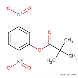 Molecular Structure of 63549-53-1 (Propanoic acid, 2,2-dimethyl-, 2,5-dinitrophenyl ester)
