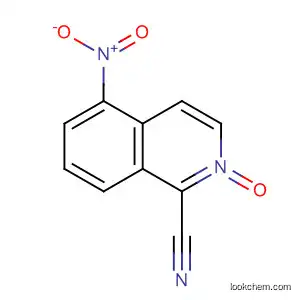 Molecular Structure of 65464-32-6 (1-Isoquinolinecarbonitrile, 5-nitro-, 2-oxide)