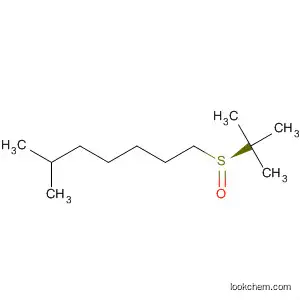 Molecular Structure of 66266-94-2 (Heptane, 1-[(1,1-dimethylethyl)sulfinyl]-6-methyl-, (S)-)