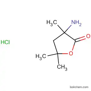 Molecular Structure of 108682-65-1 (2(3H)-Furanone, 3-aminodihydro-3,5,5-trimethyl-, hydrochloride)