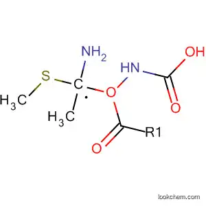 Molecular Structure of 54719-24-3 (Carbamic acid, [amino(methylthio)methyl]-, methyl ester)