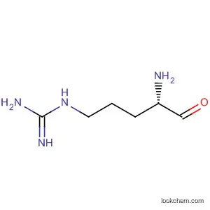 Molecular Structure of 59867-91-3 (Guanidine, (4-amino-5-oxopentyl)-, (S)-)
