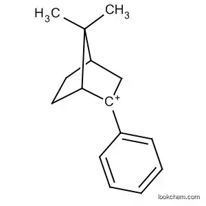 Molecular Structure of 69515-00-0 (Bicyclo[2.2.1]hept-2-ylium, 7,7-dimethyl-2-phenyl-)