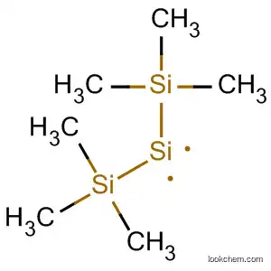Molecular Structure of 75567-79-2 (Disilanylidene, 2,2,2-trimethyl-1-(trimethylsilyl)-)