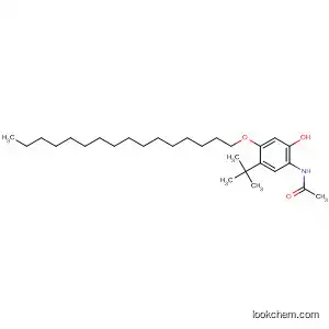 Molecular Structure of 78286-12-1 (Acetamide, N-[5-(1,1-dimethylethyl)-4-(hexadecyloxy)-2-hydroxyphenyl]-)