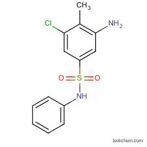 Molecular Structure of 78726-59-7 (Benzenesulfonamide, 3-amino-5-chloro-4-methyl-N-phenyl-)