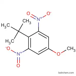 Molecular Structure of 79657-84-4 (Benzene, 2-(1,1-dimethylethyl)-5-methoxy-1,3-dinitro-)