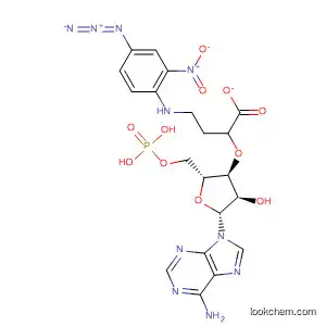 Molecular Structure of 91284-18-3 (5'-Adenylic acid, 3'-[4-[(4-azido-2-nitrophenyl)amino]butanoate])