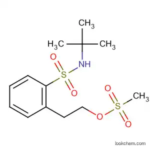Molecular Structure of 92080-37-0 (Benzenesulfonamide,
N-(1,1-dimethylethyl)-2-[2-[(methylsulfonyl)oxy]ethyl]-)