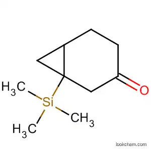 Molecular Structure of 104653-13-6 (Bicyclo[4.1.0]heptan-3-one, 1-(trimethylsilyl)-)