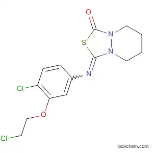 Molecular Structure of 110285-59-1 (1H,3H-[1,3,4]Thiadiazolo[3,4-a]pyridazin-1-one,
3-[[4-chloro-3-(2-chloroethoxy)phenyl]imino]tetrahydro-)