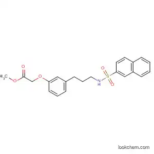 Molecular Structure of 111758-42-0 (Acetic acid, [3-[3-[(2-naphthalenylsulfonyl)amino]propyl]phenoxy]-,
methyl ester)