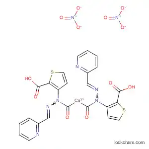Molecular Structure of 113971-80-5 (Copper(2+), bis[2-thiophenecarboxylic acid
(2-pyridinylmethylene)hydrazide]-, dinitrate)