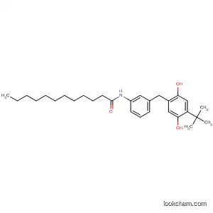 Molecular Structure of 128119-89-1 (Dodecanamide,
N-[3-[[4-(1,1-dimethylethyl)-2,5-dihydroxyphenyl]methyl]phenyl]-)