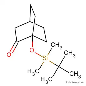 Molecular Structure of 135107-28-7 (Bicyclo[2.2.2]octanone, 1-[[(1,1-dimethylethyl)dimethylsilyl]oxy]-)