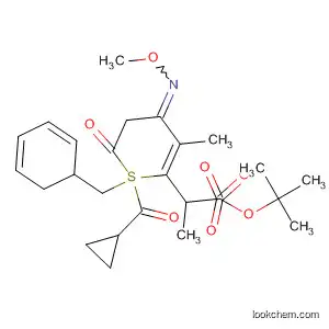 Molecular Structure of 182420-17-3 (2H-1-Benzothiopyran-6-propanoic acid,
a-(cyclopropylcarbonyl)-3,4-dihydro-4-(methoxyimino)-5-methyl-b-oxo-,
1,1-dimethylethyl ester, 1,1-dioxide)