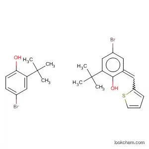 Molecular Structure of 184864-69-5 (Phenol, 2,2'-(2-thienylmethylene)bis[4-bromo-6-(1,1-dimethylethyl)-)
