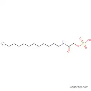 Molecular Structure of 185052-67-9 (Acetamide, N-dodecyl-2-(sulfooxy)-)