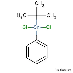 Molecular Structure of 188759-63-9 (Stannane, dichloro(1,1-dimethylethyl)phenyl-)