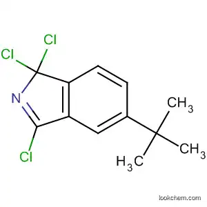 Molecular Structure of 189887-96-5 (1H-Isoindole, 1,1,3-trichloro-5-(1,1-dimethylethyl)-)