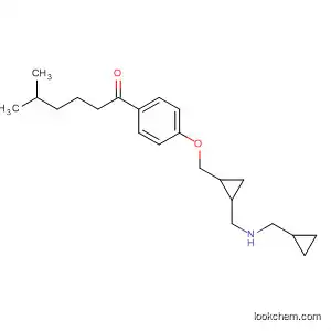 Molecular Structure of 192436-23-0 (1-Hexanone,
1-[4-[[2-[(cyclopropylmethylamino)methyl]cyclopropyl]methoxy]phenyl]-5-
methyl-, trans-)