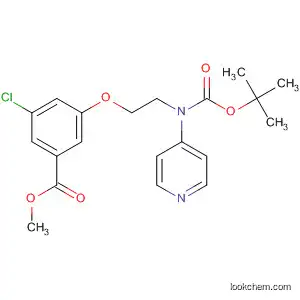 Molecular Structure of 192810-23-4 (Benzoic acid,
3-chloro-5-[2-[[(1,1-dimethylethoxy)carbonyl]-4-pyridinylamino]ethoxy]-,
methyl ester)