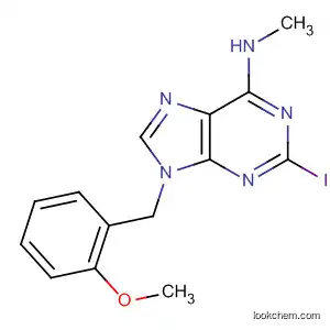 Molecular Structure of 396653-34-2 (2-Iodo-9-(2-methoxybenzyl)-N6-methyladenine hydrochloride)