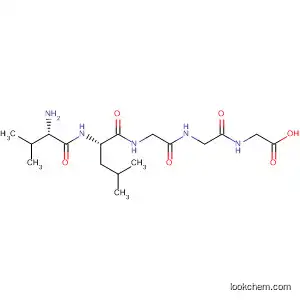 Molecular Structure of 270084-40-7 (Glycine, L-valyl-L-leucylglycylglycyl-)