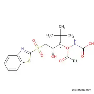 Molecular Structure of 478285-09-5 (Carbamic acid, [(2S)-3-(2-benzothiazolylsulfonyl)-2-hydroxypropyl]-,
1,1-dimethylethyl ester)