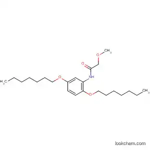 Molecular Structure of 557104-88-8 (Acetamide, N-[2,5-bis(heptyloxy)phenyl]-2-methoxy-)