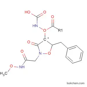 Molecular Structure of 559208-89-8 (Carbamic acid,
[2-[2-(methoxyamino)-2-oxoethyl]-3-oxo-4-isoxazolidinyl]-, phenylmethyl
ester)