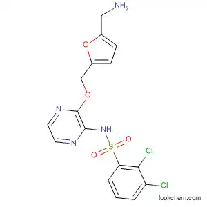 Molecular Structure of 566205-81-0 (Benzenesulfonamide,
N-[3-[[5-(aminomethyl)-2-furanyl]methoxy]pyrazinyl]-2,3-dichloro-)