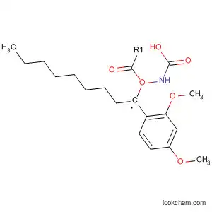 Molecular Structure of 586956-01-6 (Carbamic acid, [(1S)-1-(2,4-dimethoxyphenyl)octyl]-, methyl ester)