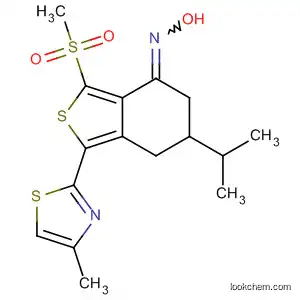 Molecular Structure of 587883-90-7 (Benzo[c]thiophen-4(5H)-one,
6,7-dihydro-6-(1-methylethyl)-3-(methylsulfonyl)-1-(4-methyl-2-thiazolyl)-,
oxime)