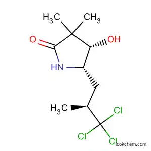 Molecular Structure of 117695-01-9 (2-Pyrrolidinone,
4-hydroxy-3,3-dimethyl-5-[(2S)-3,3,3-trichloro-2-methylpropyl]-, (4S,5S)-)